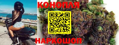 ALPHA PVP Комсомольск-на-Амуре