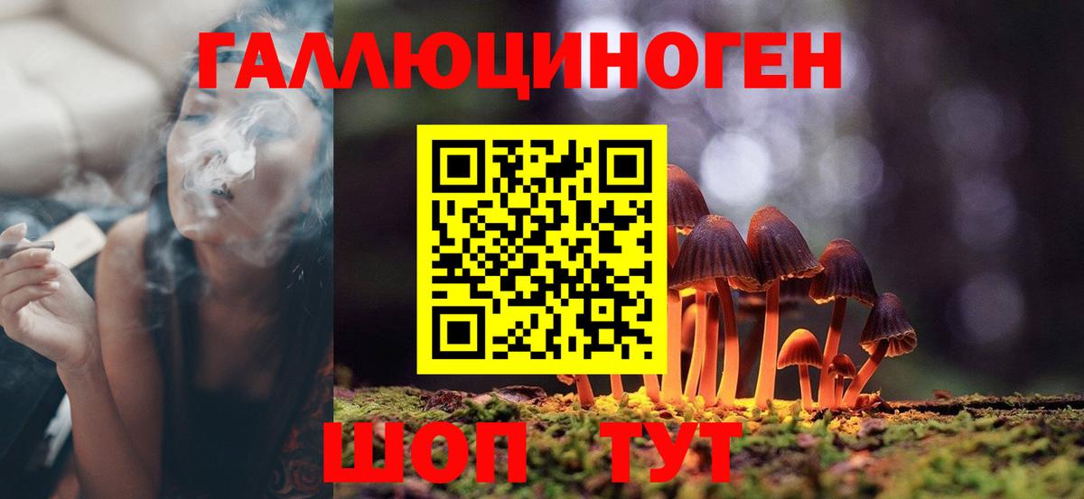 Кропоткин  Псилоцибиновые грибы GOLDEN TEACHER  Вход с VPN  купить наркотик  Псилоцибиновые грибы прущие грибы 